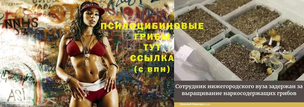прущая мука Киренск