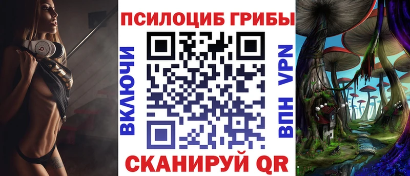 Купить где Гурьевск Псилоцибиновые грибы прущие грибы